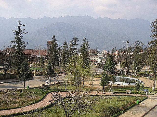 Photograph