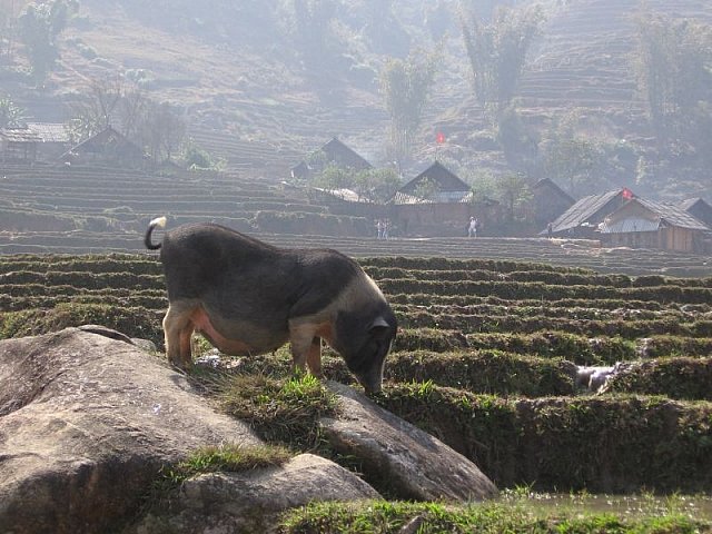 Photograph