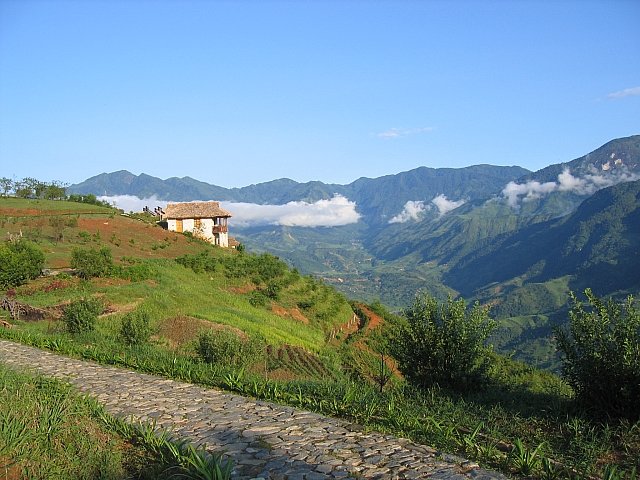 Photograph